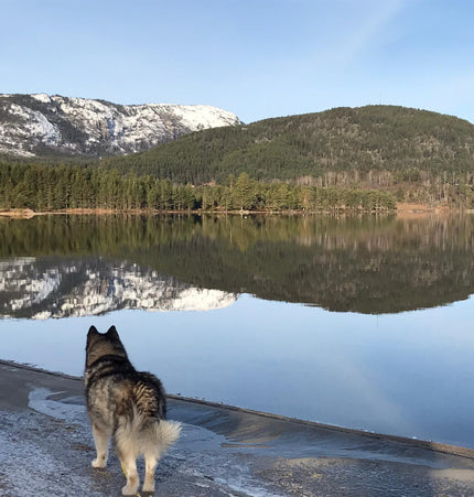Norwegen Norwegenabend - Reise im Wohnzimmer für den 14.02.2026