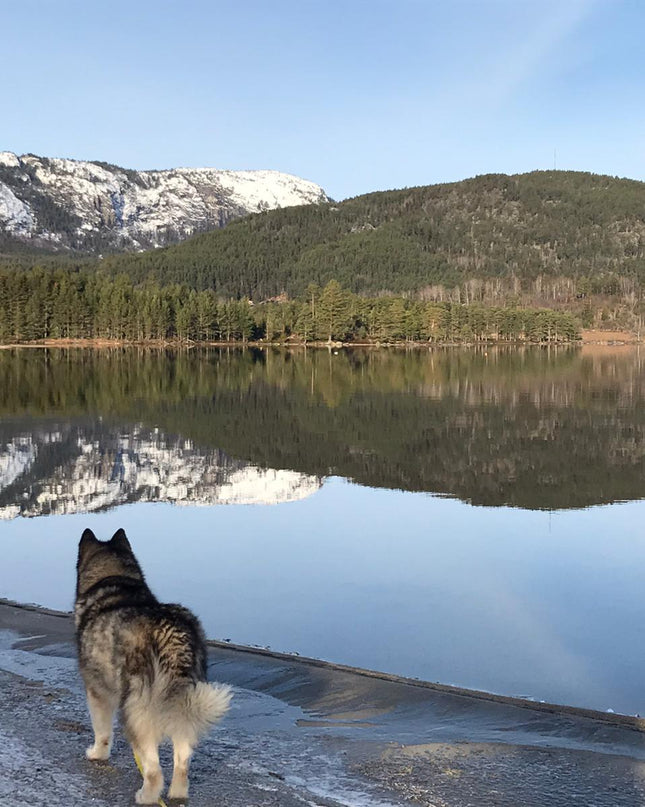 Norwegen Norwegenabend - Reise im Wohnzimmer für den 14.02.2026
