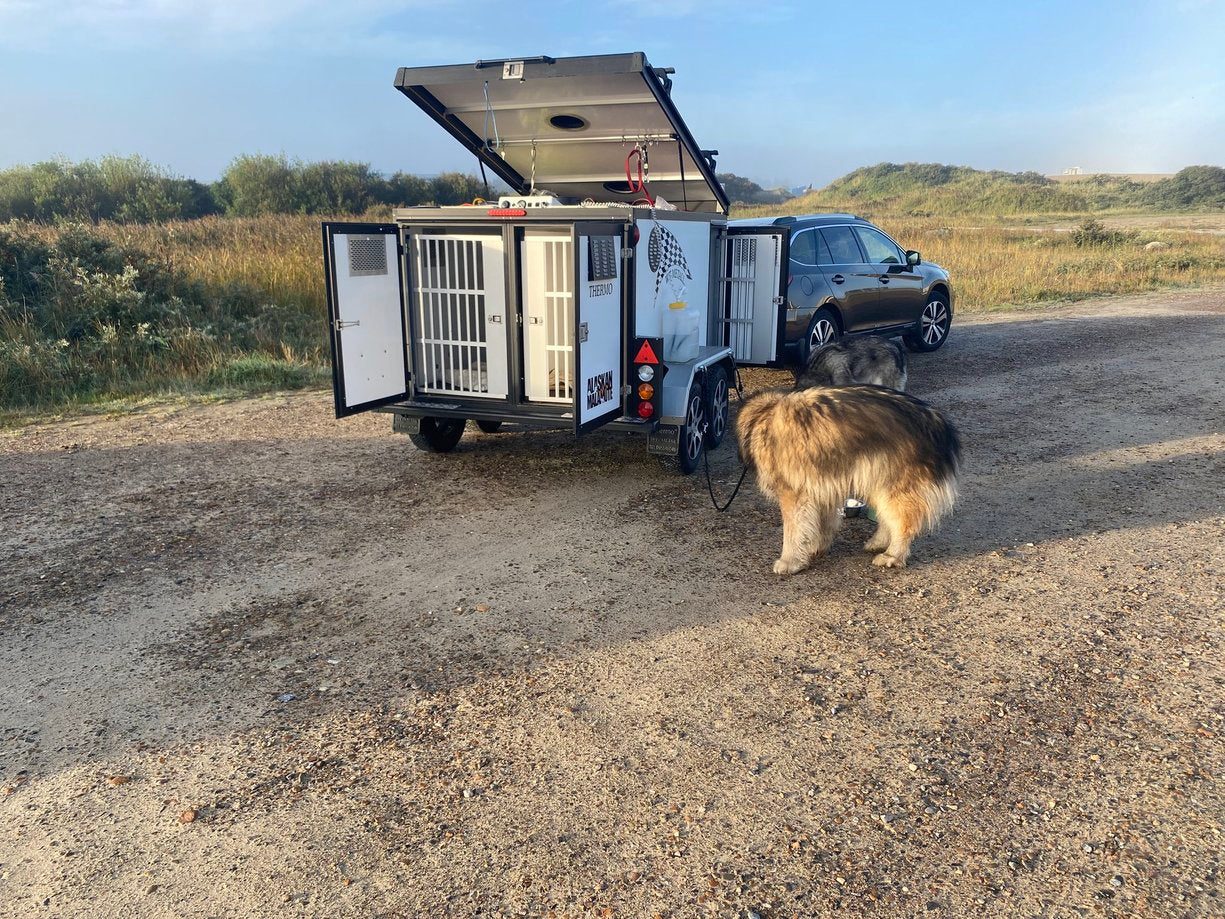 Schlittenhund Tour,  Achtsamkeit