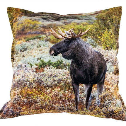 Collection image for: Kissen