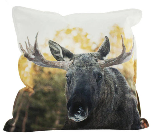 Look at Nature Velourskissen, Elch Normaler Preis€37,70 EUR