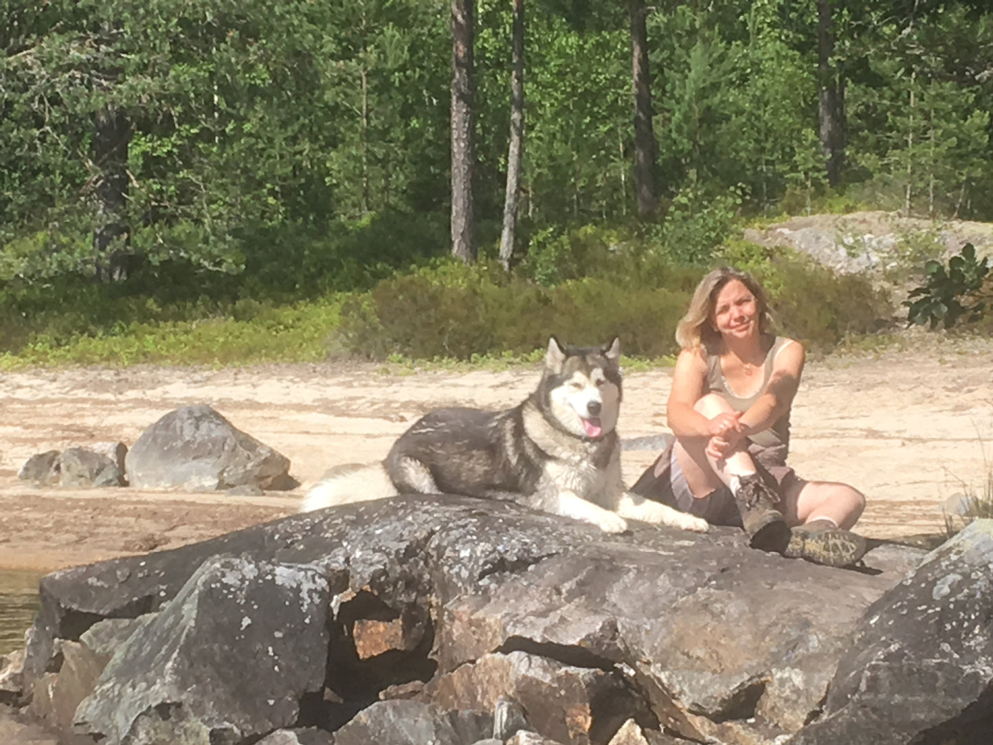 Schlittenhund Tour,  Achtsamkeit