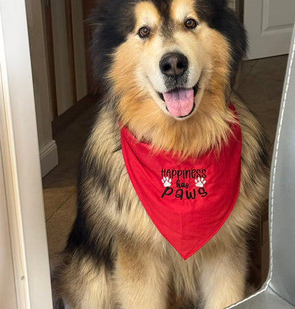 Hundehalsband individuell bestickt