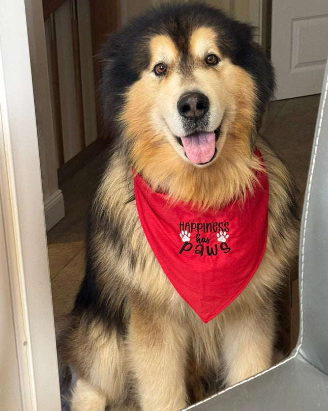 Hundehalsband individuell bestickt