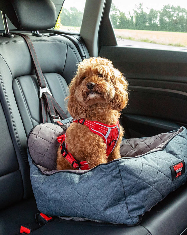 KONG Travel Ultimate Safety Seat