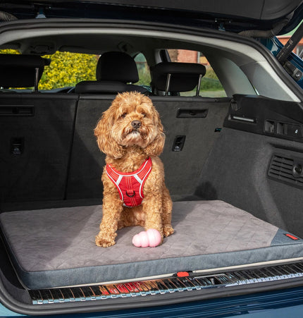 KONG Travel Fold-Up Travel Mat