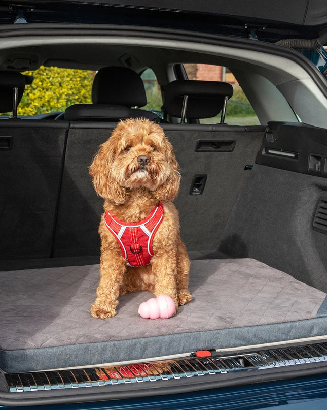 KONG Travel Fold-Up Travel Mat