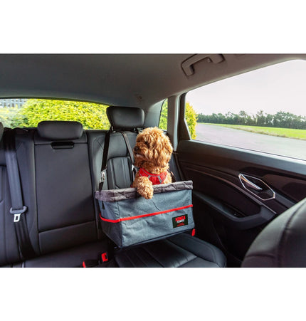 KONG Hundeautositz und Hundeautogurt Set